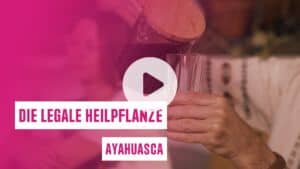 Video Heilpflanze