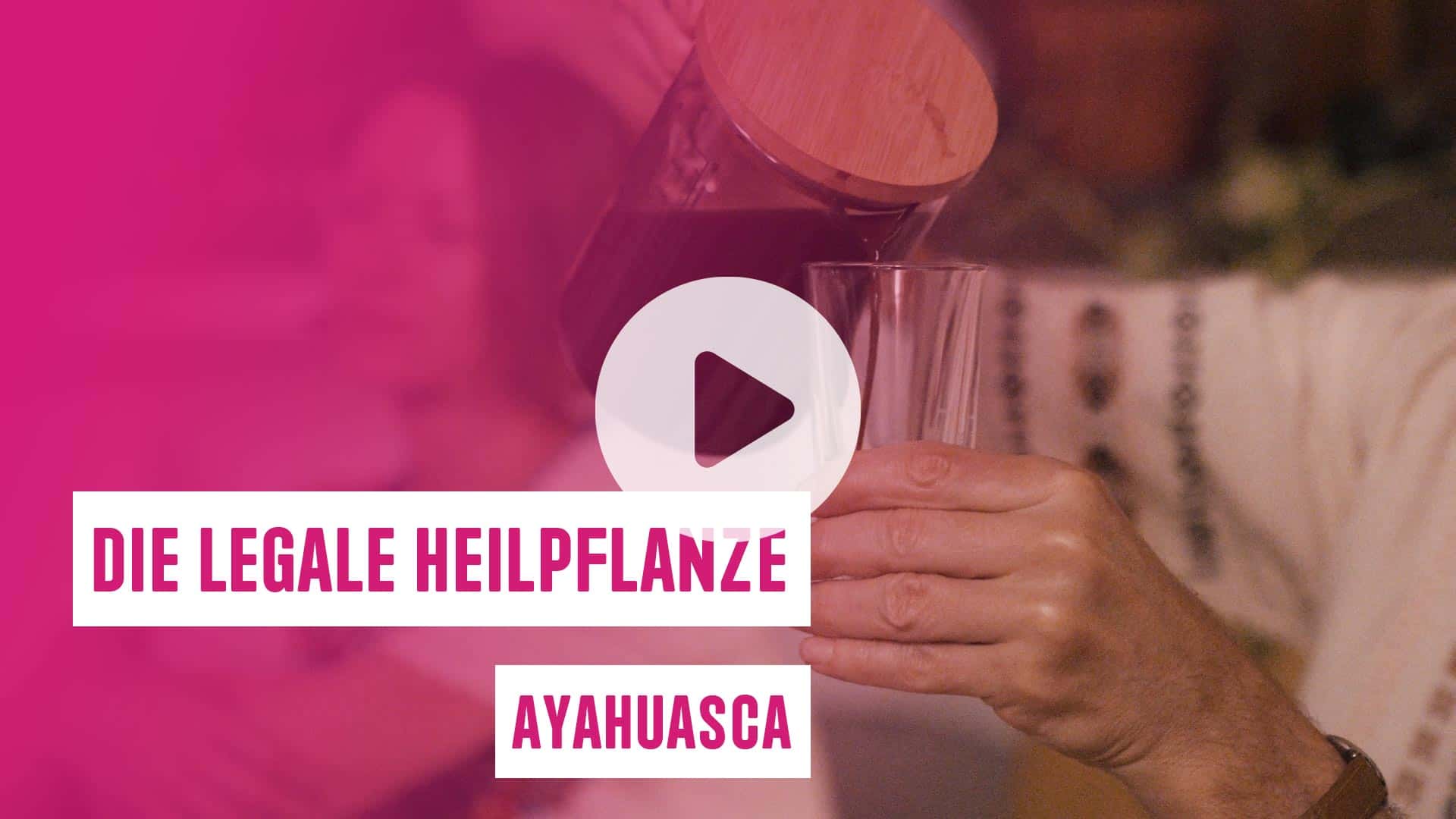 Video Heilpflanze