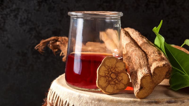 Ayahuasca Traummaheilung - Beitragsbild 1