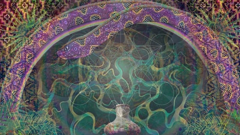Ayahuascas Traummsprache - Beitragsbild